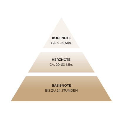 Duftpyramide mit Kopf-, Herz- und Basisnote