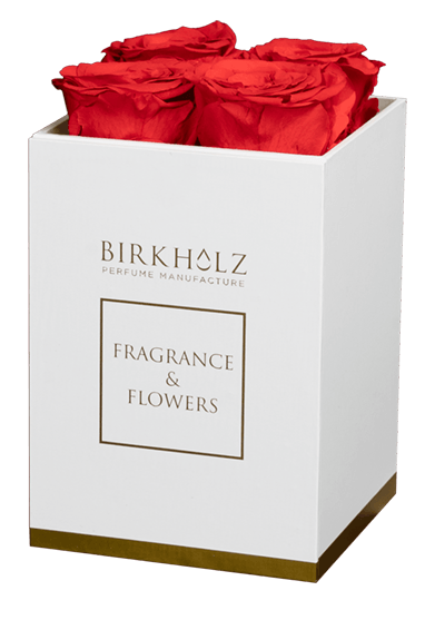 Fragrance & Flowers-Box Medium - Birkholz Perfume Manufacture