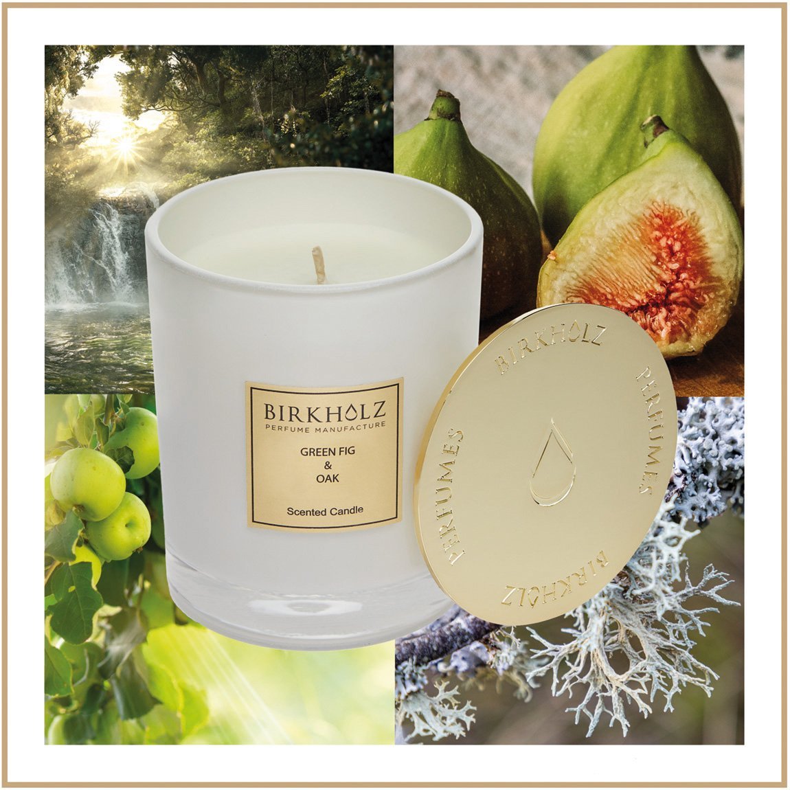 Scented Candle Green Fig & Oak - Birkholz Perfume Manufacture